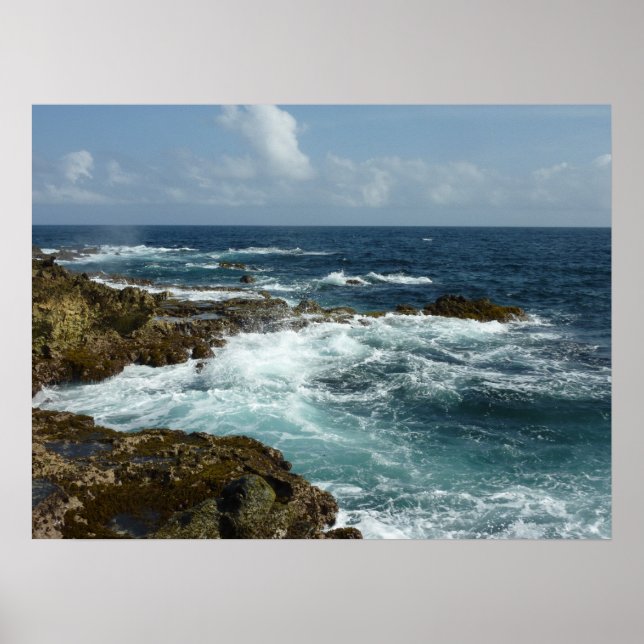 Aruba's Rocky Coast and Blue Ocean Poster (Front)