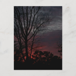 As Dark Approaches Postcard