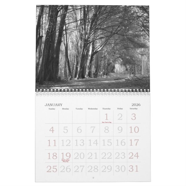AS EYE SEE IT! CALENDAR (Jan 2026)
