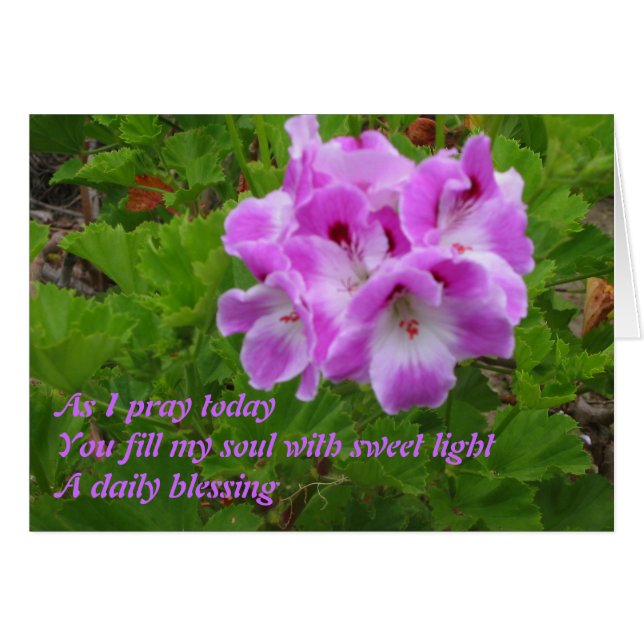 As I Pray Today (Front Horizontal)