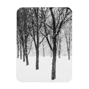 as I side with trees Magnet