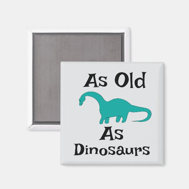 As Old As Dinosaurs Magnet (Front/Back)