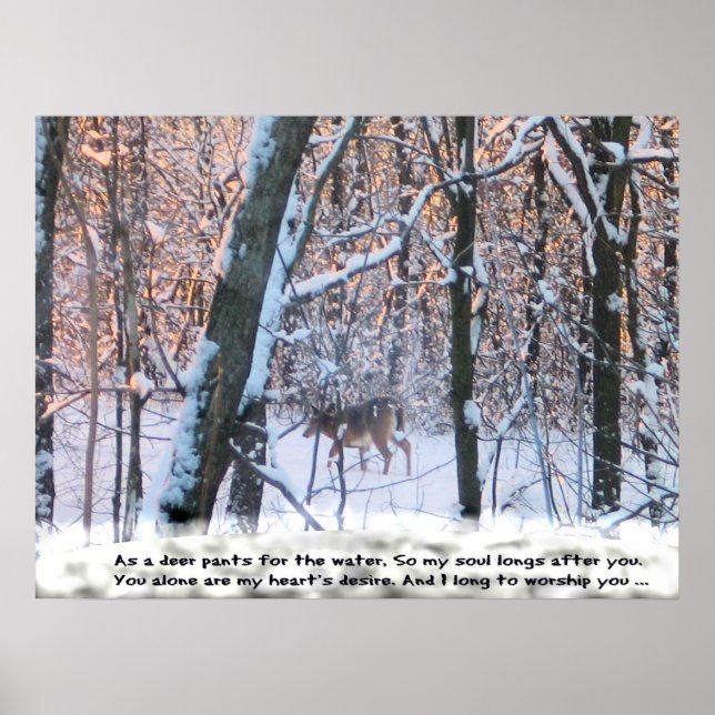 As The Deer Pants for the Water... Poster (Front)