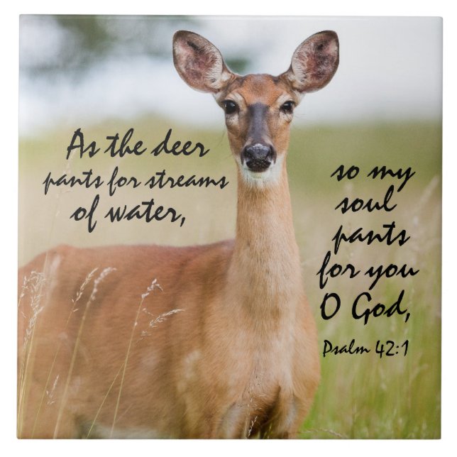 As the deer pants for water Bible Verse Psalm 42:1 Ceramic Tile (Front)