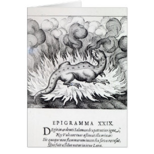 As the Salamander lives in fire