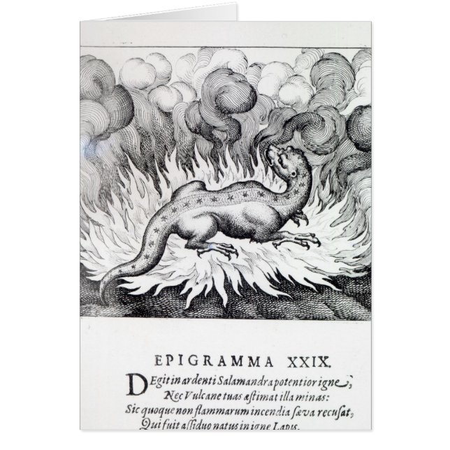 As the Salamander lives in fire (Front)