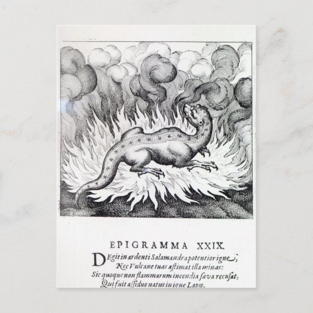 As the Salamander lives in fire Postcard (Front)