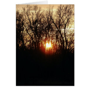 As The Sun Sets