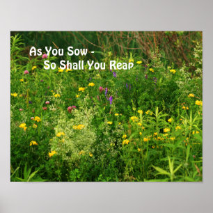 As You Sow Inspirational Wildflowers Poster