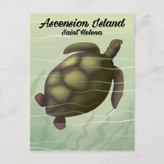 Ascension Island Sea Turtle Postcard (Front)