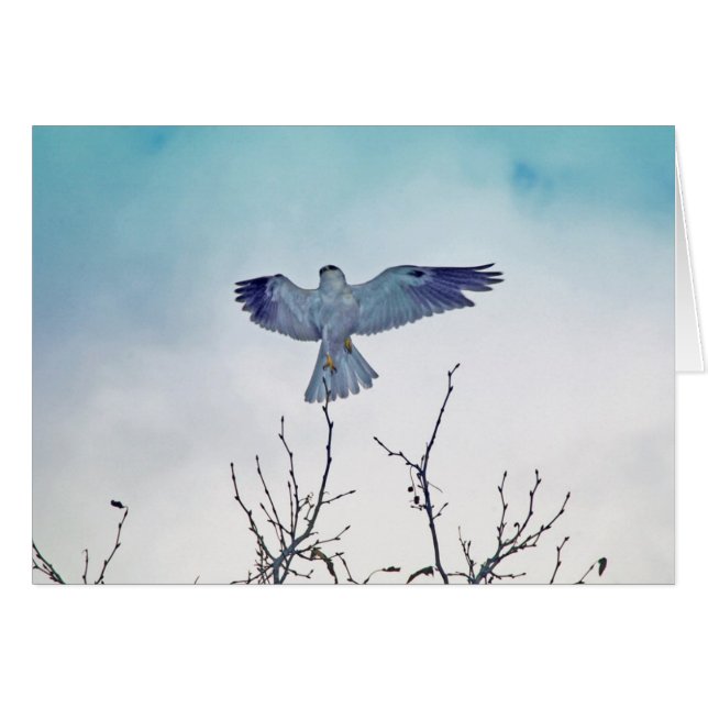 Ascent (Front Horizontal)