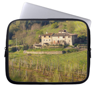 Aschuito, a working farm that accepts guests, laptop sleeve