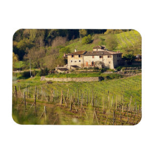 Aschuito, a working farm that accepts guests, magnet