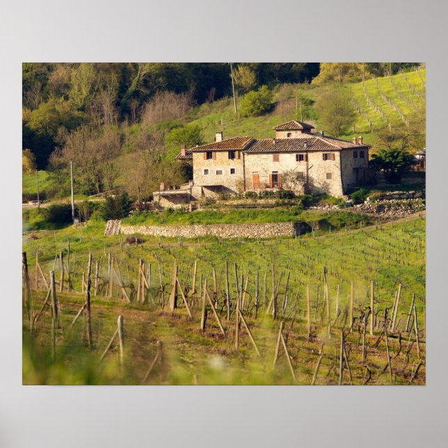 Aschuito, a working farm that accepts guests, poster (Front)