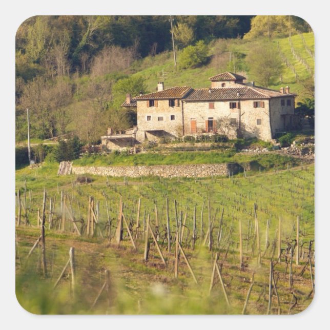 Aschuito, a working farm that accepts guests, square sticker (Front)