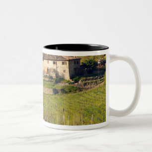 Aschuito, a working farm that accepts guests, Two-Tone coffee mug