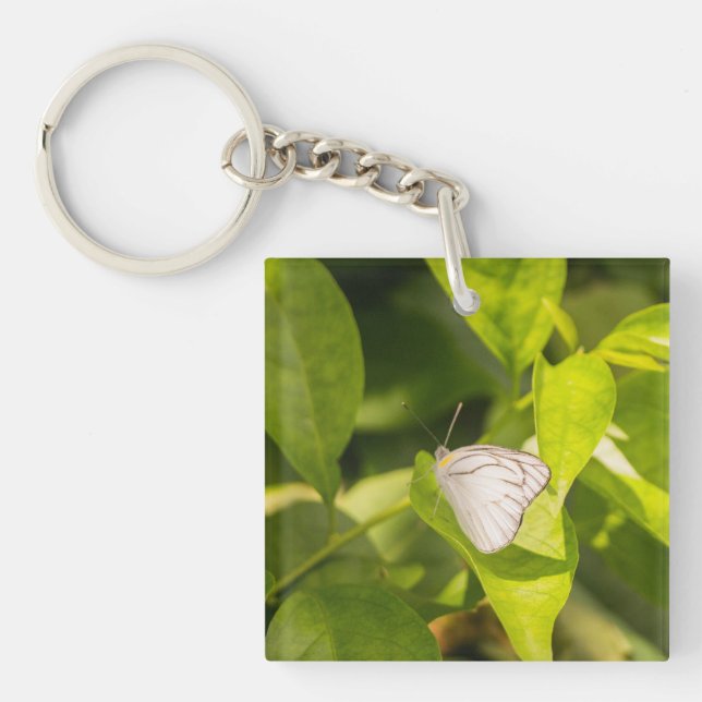 Ascia_02 Key Ring (Front)
