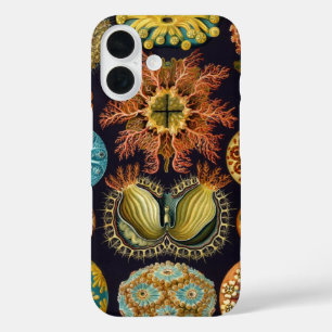 Ascidiae by Ernst Haeckel, Vintage Marine Animals iPhone 16 Case
