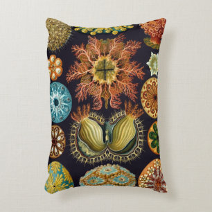 Ascidiae by Ernst Haeckel, Vintage Marine Animals Decorative Cushion