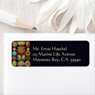 Ascidiae by Ernst Haeckel, Vintage Marine Animals Return Address Label