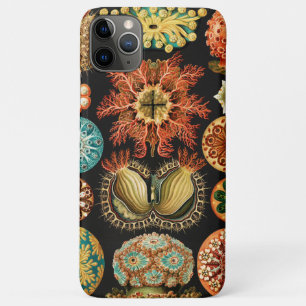 Ascidiae, Seescheiden Marine Life by Ernst Haeckel iPhone 11 Pro Max Case