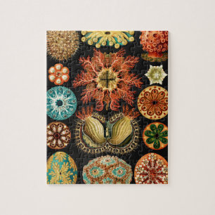 Ascidiae, Seescheiden Marine Life by Ernst Haeckel Jigsaw Puzzle