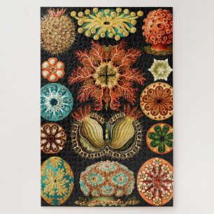 Ascidiae, Seescheiden Marine Life by Ernst Haeckel Jigsaw Puzzle