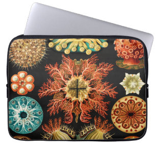 Ascidiae, Seescheiden Marine Life by Ernst Haeckel Laptop Sleeve