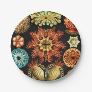 Ascidiae, Seescheiden Marine Life by Ernst Haeckel Paper Plate
