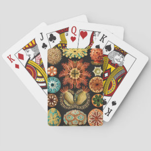 Ascidiae, Seescheiden Marine Life by Ernst Haeckel Playing Cards