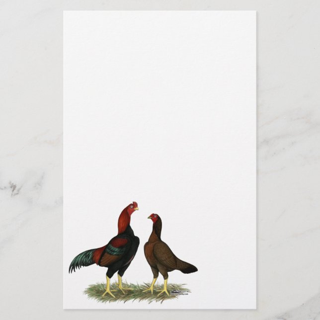 Aseel Black Red Chickens (Front)