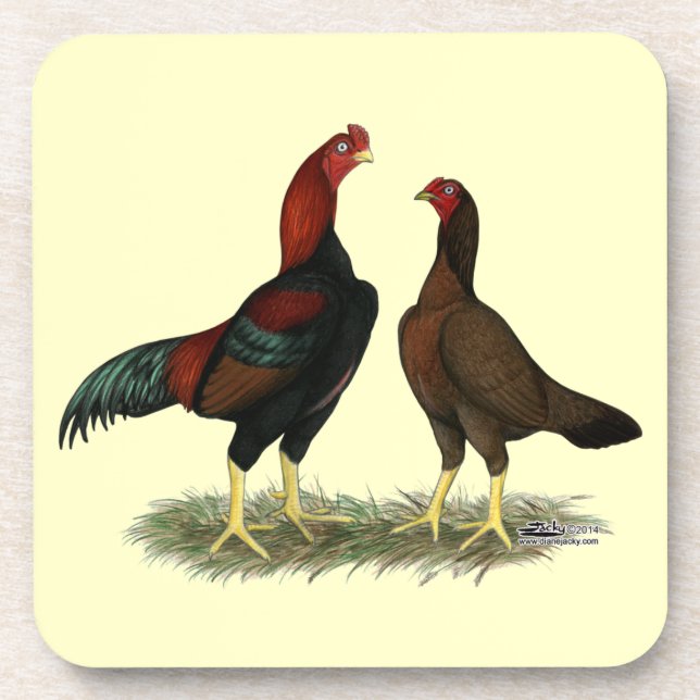 Aseel Black Red Chickens Coaster (Front)