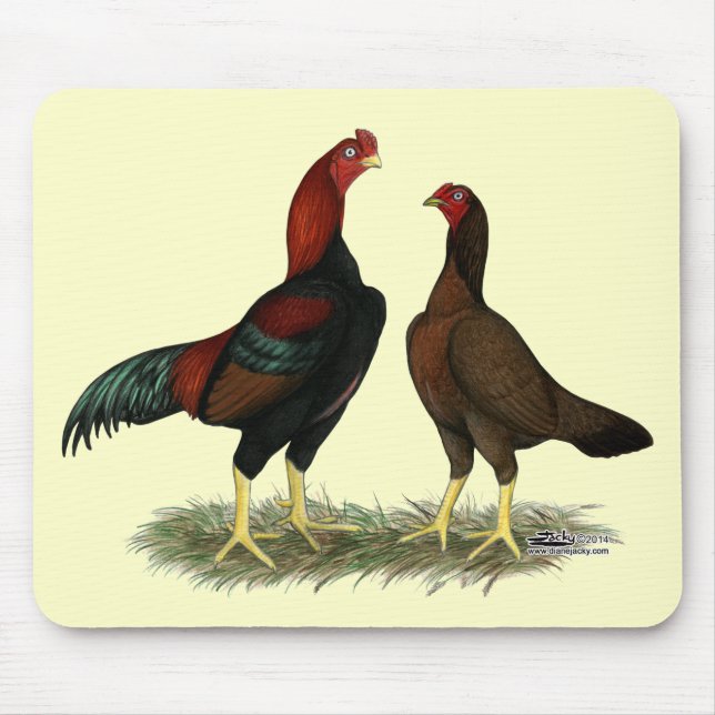 Aseel Black Red Chickens Mouse Pad (Front)