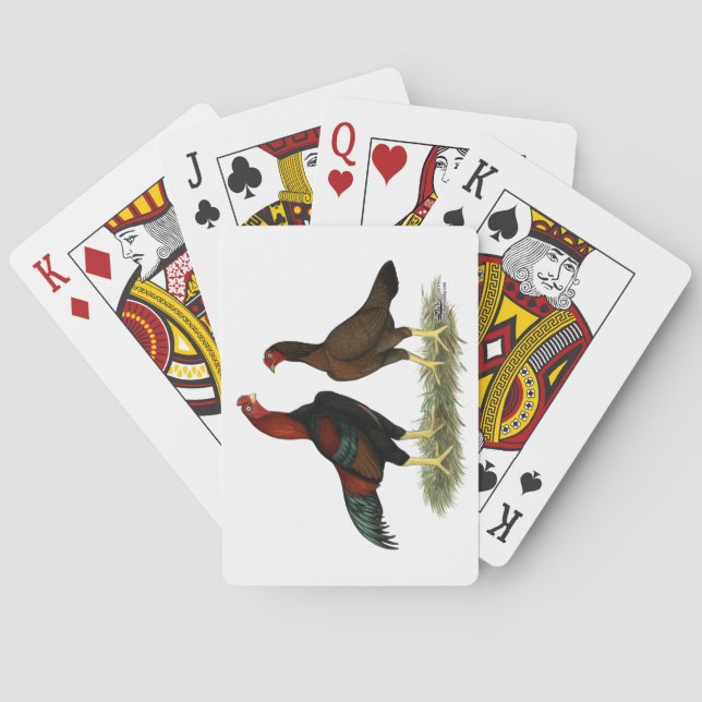 Aseel Black Red Chickens Playing Cards (Back)