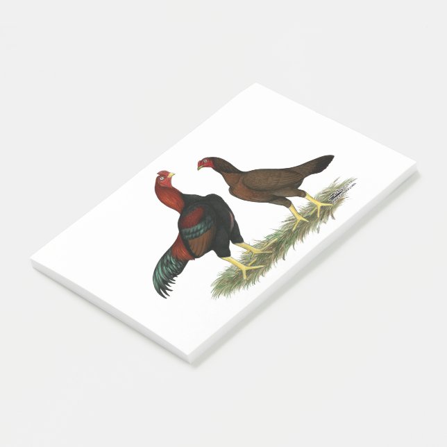 Aseel Black Red Chickens Post-it Notes (Angled)