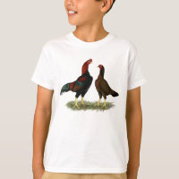 Aseel Black Red Chickens