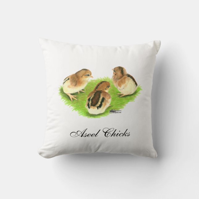 Aseel Black Red Chicks Cushion (Front)