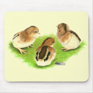 Aseel Black Red Chicks Mouse Pad