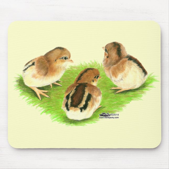 Aseel Black Red Chicks Mouse Pad (Front)