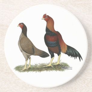 Aseel Wheaten Chickens Coaster