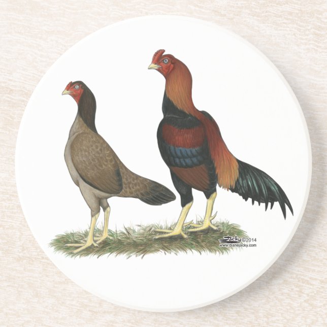 Aseel Wheaten Chickens Coaster (Front)