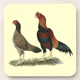 Aseel Wheaten Chickens Coaster