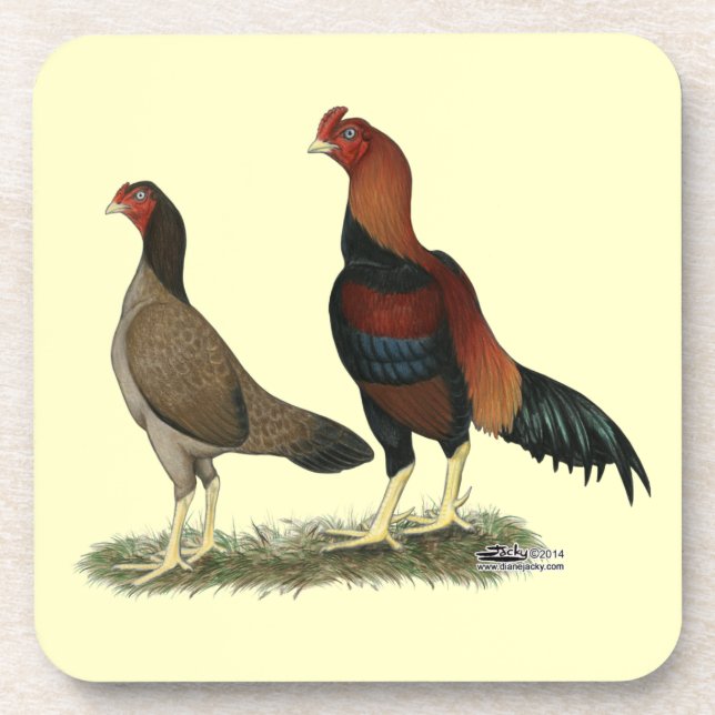 Aseel Wheaten Chickens Coaster (Front)