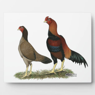 Aseel Wheaten Chickens Plaque