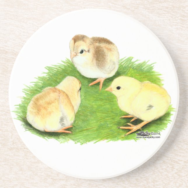 Aseel Wheaten Chicks Coaster (Front)