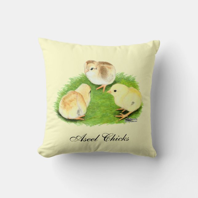 Aseel Wheaten Chicks Cushion (Front)