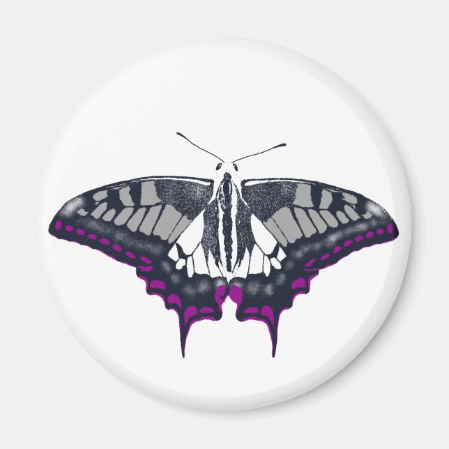 Asexual Flag Swallowtail Butterfly Magnet (Front)