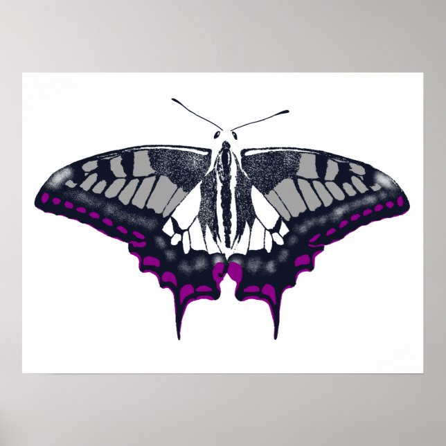 Asexual Flag Swallowtail Butterfly Poster (Front)