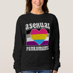 Asexual Panromantic Pride Flag Cute  Ace Aesthetic Sweatshirt
