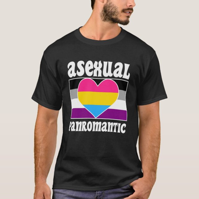Asexual Panromantic Pride Flag Cute  Ace Aesthetic T-Shirt (Front)